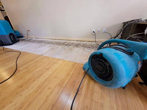 Professional Water Damage Repair technician working in Springfield, GA